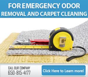 Mold Removal - Carpet Cleaning Daly City, CA