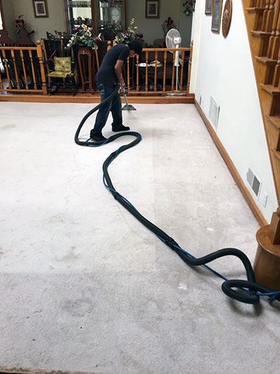 Carpet Cleaning Services in California